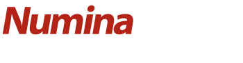 Warehouse Automation - Numina Group Services