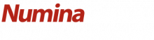 Warehouse Automation - Numina Group Services